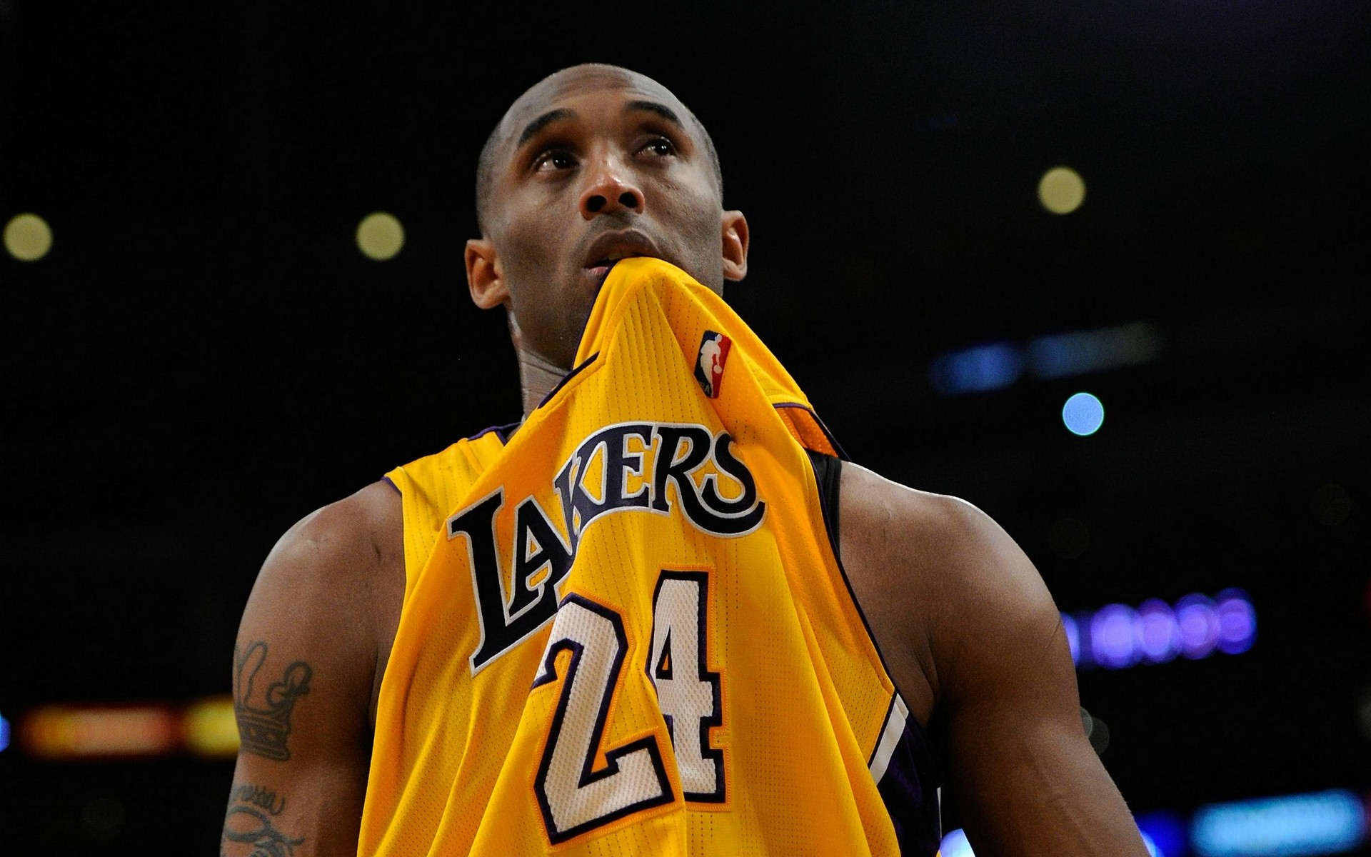 维持在高位 维持在高位