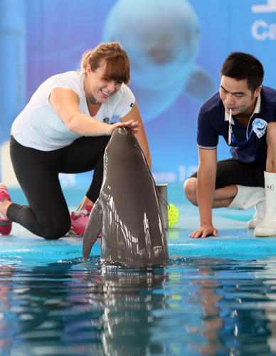 制定合理规 制定合理规