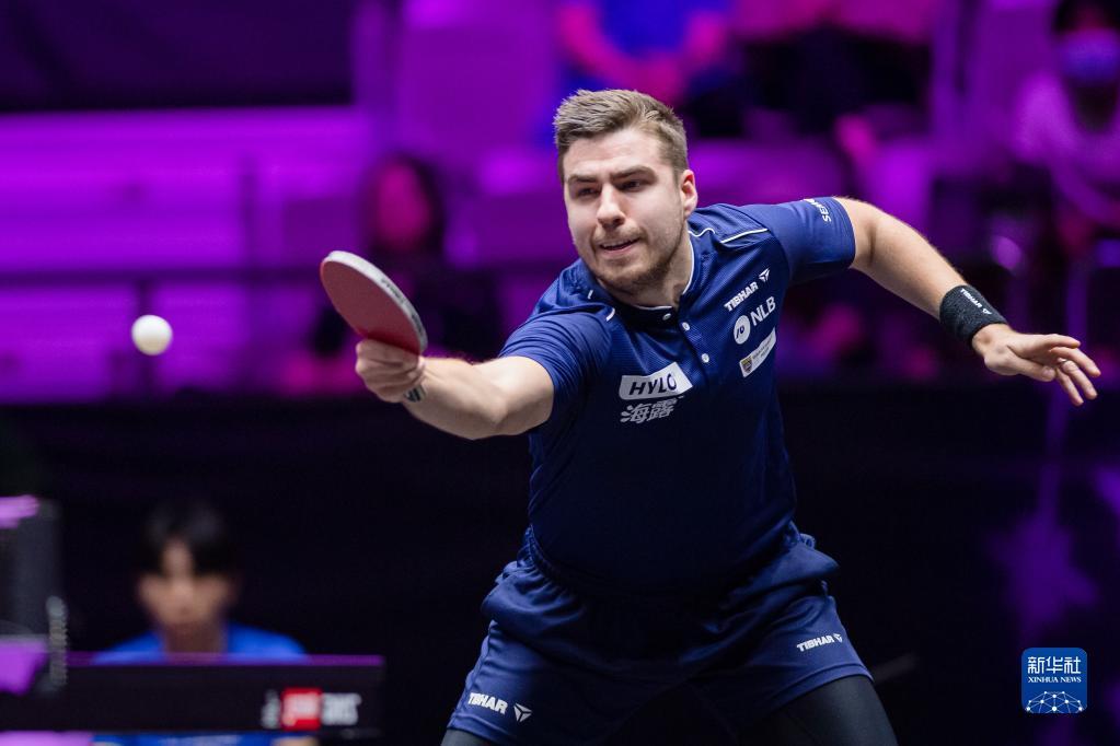 她不仅赢得 她不仅赢得