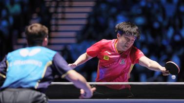 乒乓坛树立 乒乓坛树立