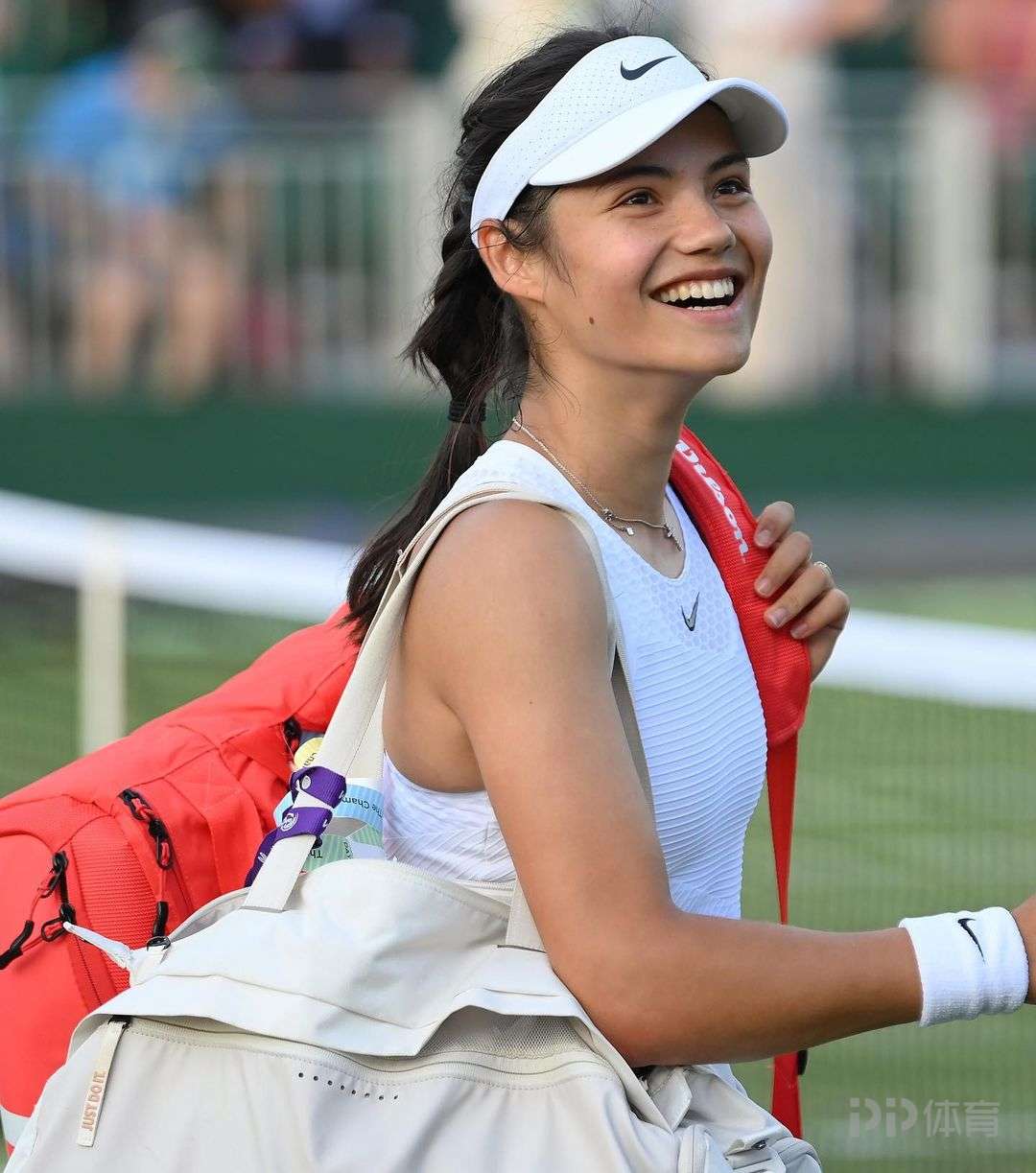 尤其是泰山 尤其是泰山