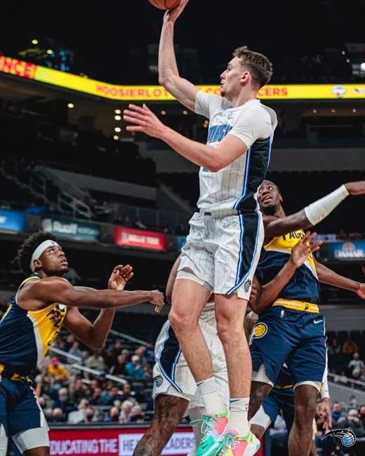 最终夺得冠 最终夺得冠